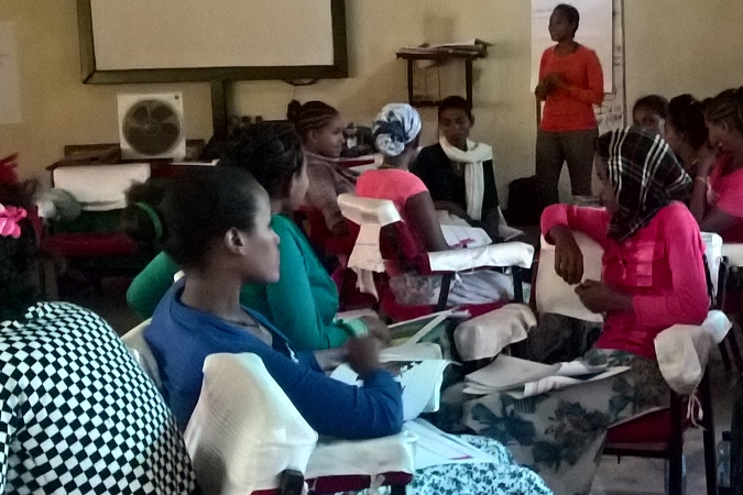 Project Clean Cooking Platform Ethiopia – Business Plan and Platform Structuring